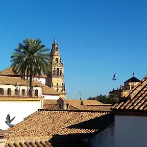 La Mirada De La Juderia , Cordoue Espagne